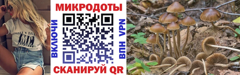 Псилоцибиновые грибы мухоморы Орск